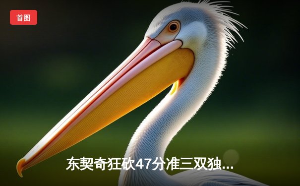 东契奇狂砍47分准三双独行侠加时险胜火箭，申京空砍生涯新高